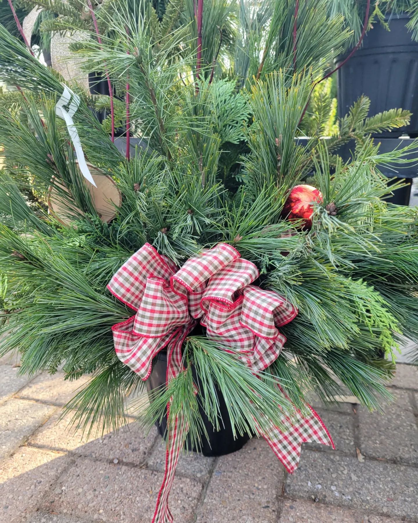 Outdoor Winter Planter Workshop