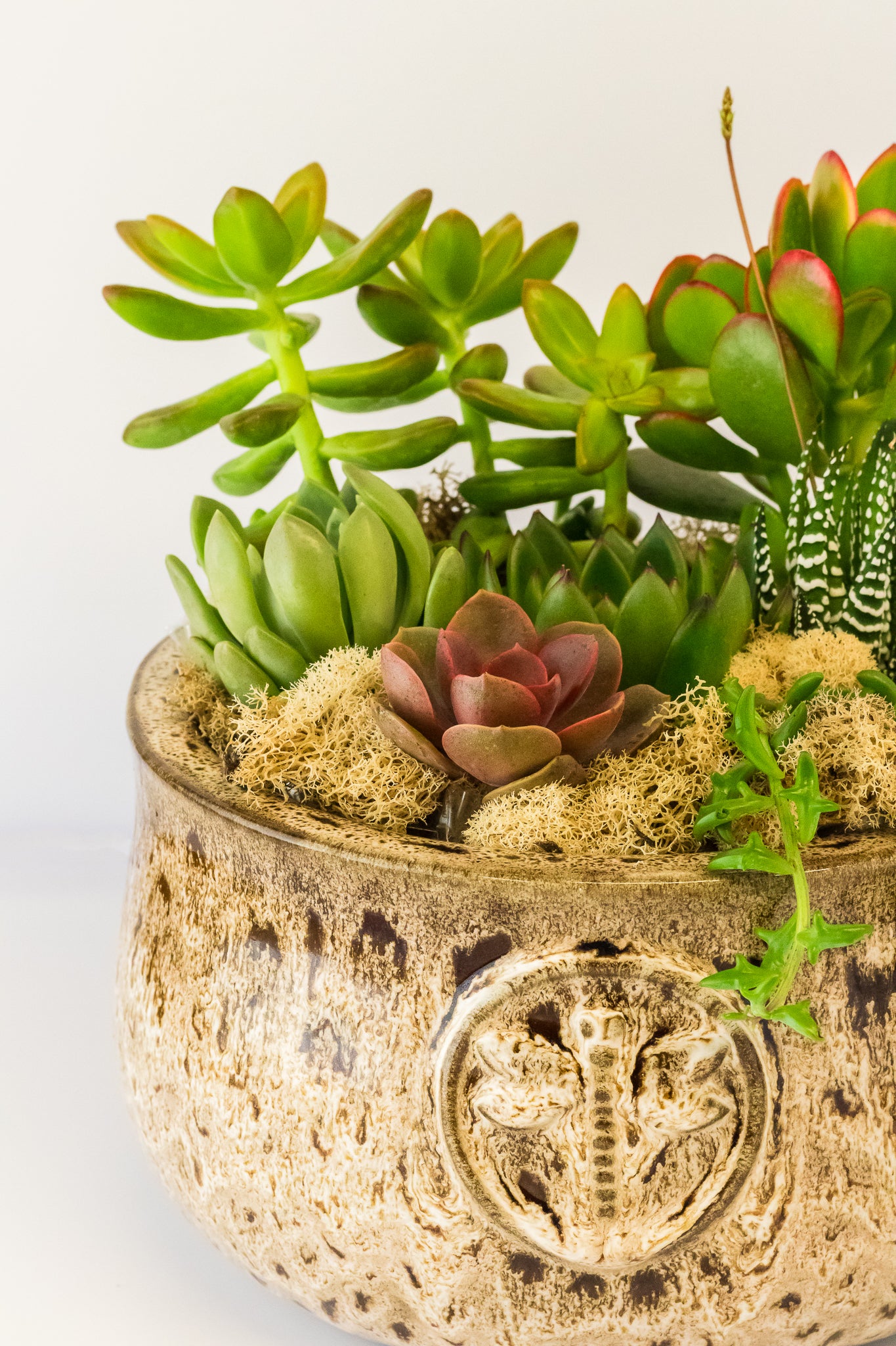 Fall Succulent Planter