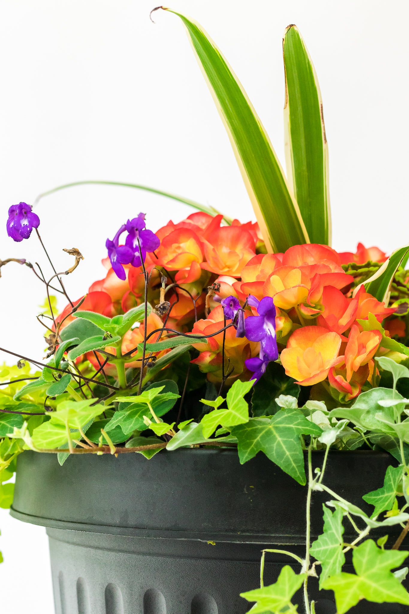 Outdoor Planter