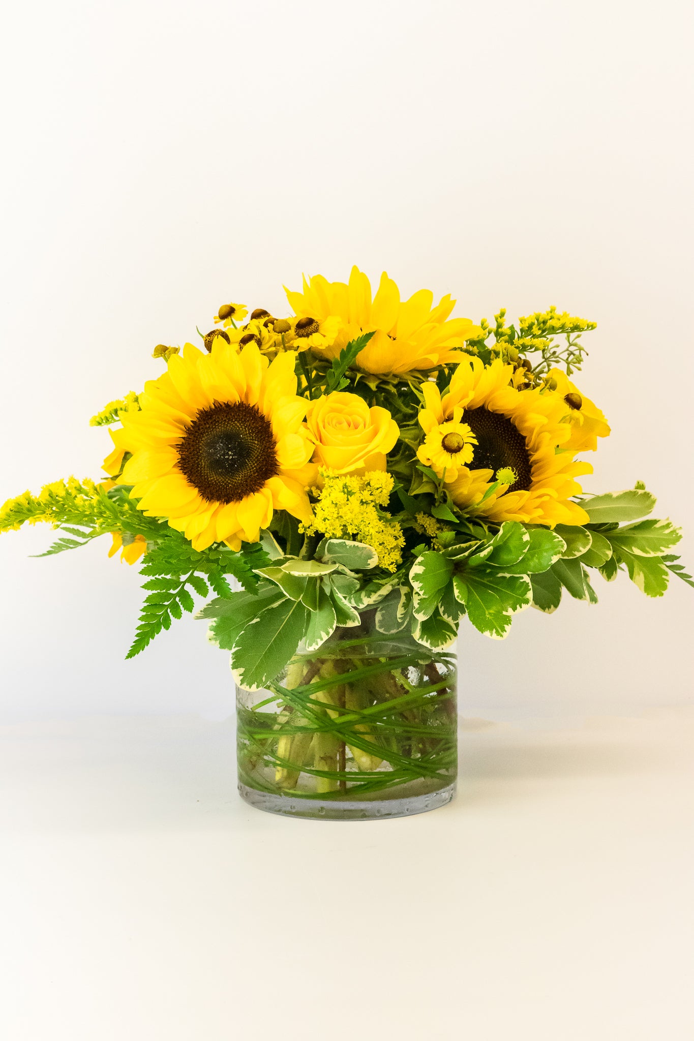 You Are My Sunshine