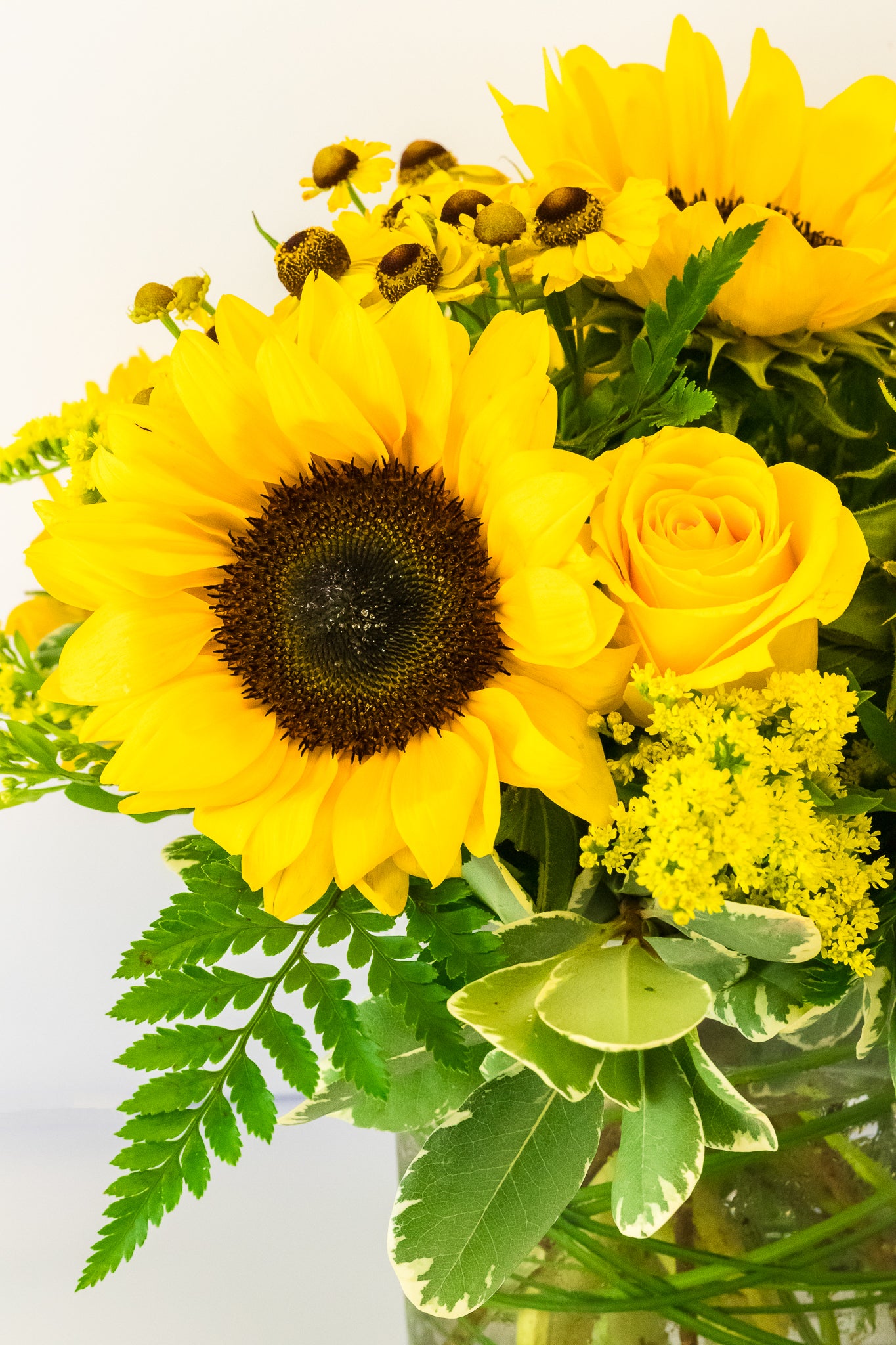 You Are My Sunshine