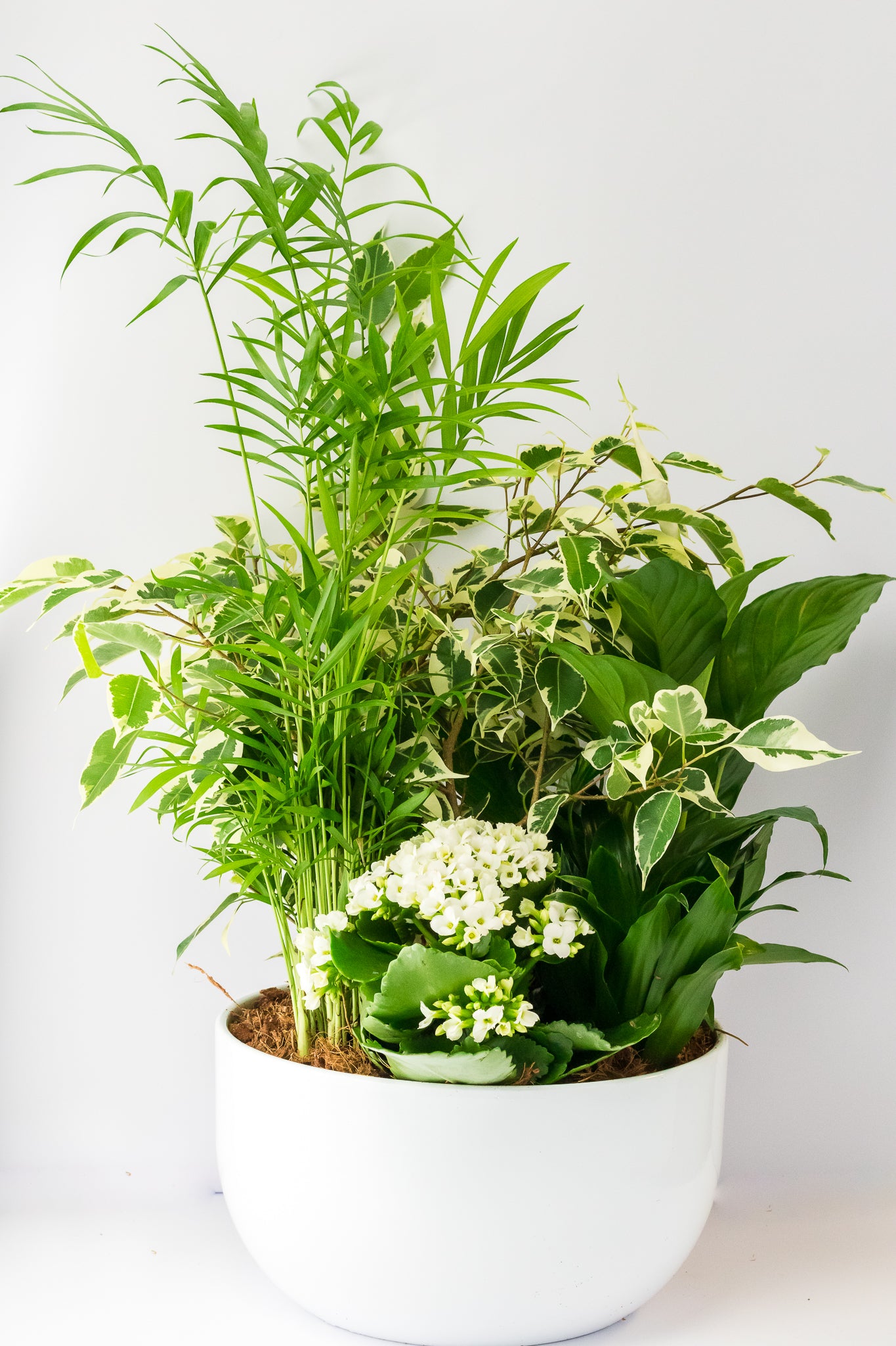 Living Garden Planter