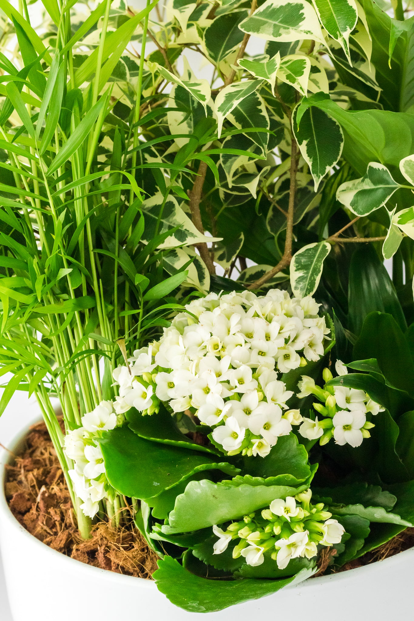 Living Garden Planter