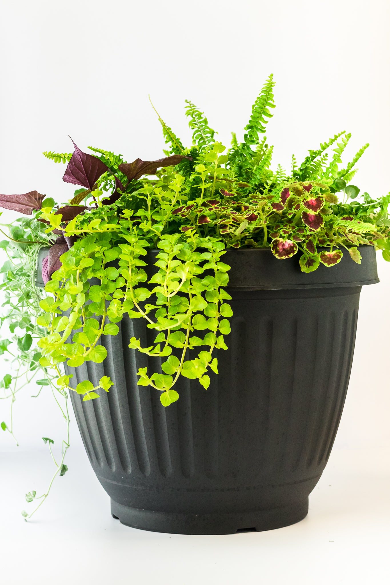 Summer Shade Planter